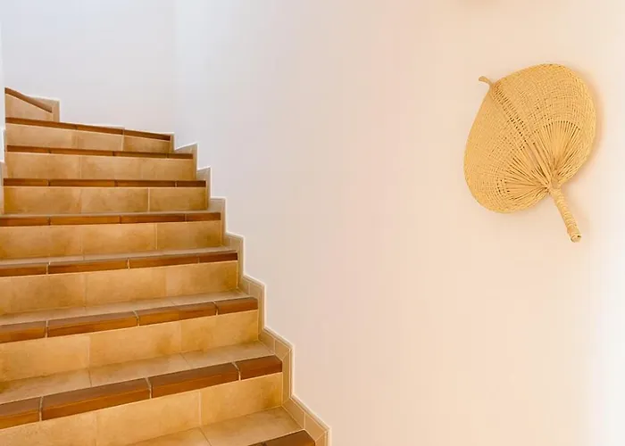 Chloe * Punta Grossa